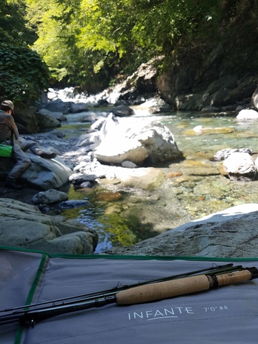 20160807_125414.jpg