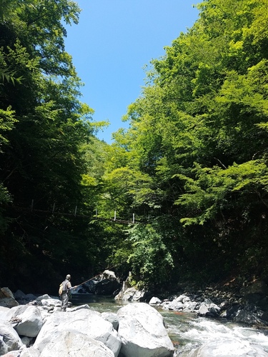 20160807_111050.jpg